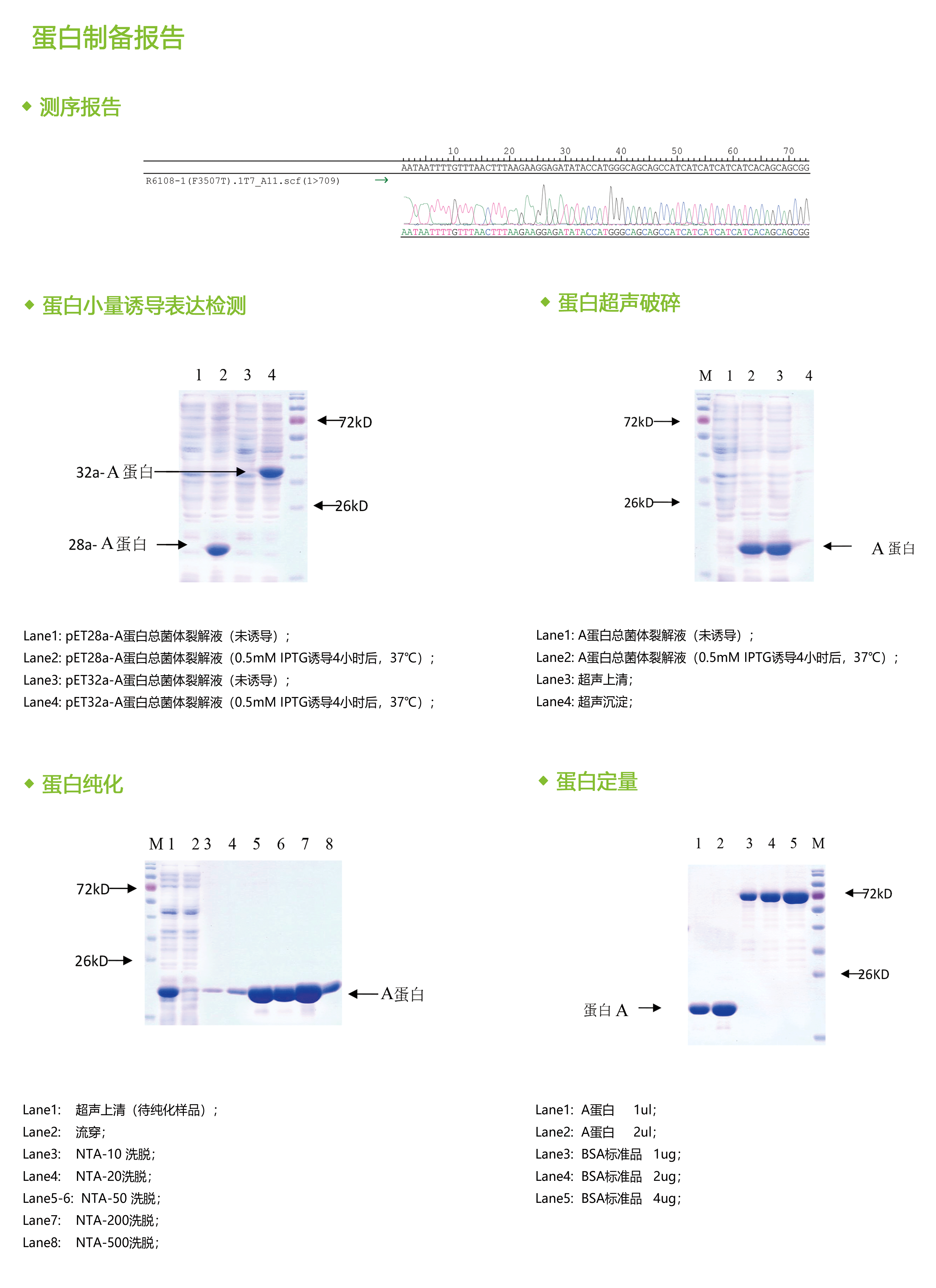 1523936461757918.gif 蛋白&多肽報(bào)告.gif