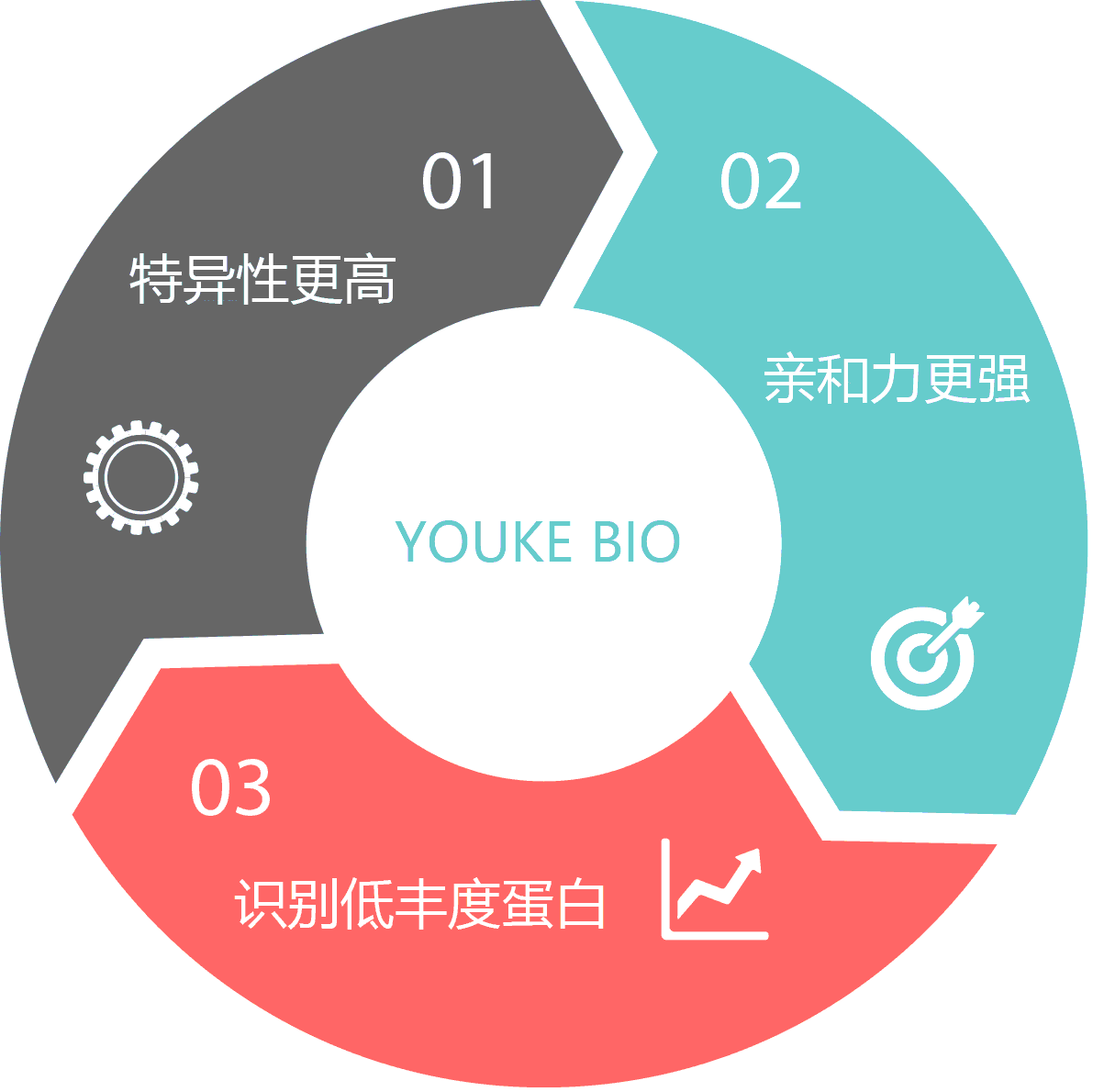 1524023139256469.gif 抗原親和純化特色.gif