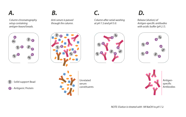 1524023452117734.gif 20120216171307FigureI-3.gif