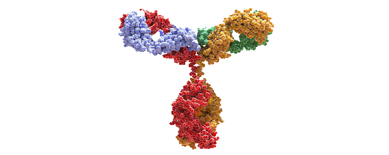 內(nèi)參抗體（總表）