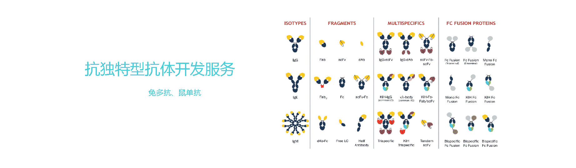 原核蛋白表達(dá)