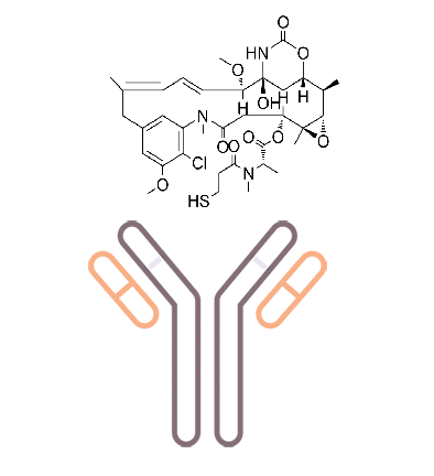 1689134820343568.png 11123.png