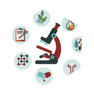 特殊優(yōu)勢(shì)